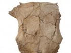 Metaxia Tsipopoulou