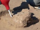 Fot. Emil Aladjem, Israel Antiquities Authority