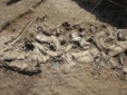 T.W.Plummer, Homa Peninsula Paleoanthropology Project