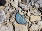 Archäologischer Dienst des Kantons Bern, Regula Glatz