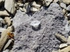 Archäologischer Dienst des Kantons Bern, Regula Glatz