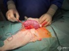 Samodzielny Publiczny Szpital Kliniczny nr 2 PUM w Szczecinie