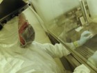 Max Planck Institute for Evolutionary Anthropology