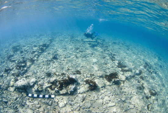 Pavlopetri Expedition