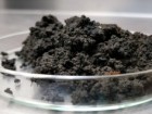 Firefly Green Fuels
