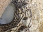 Oxford Archaeology