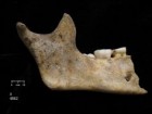 Schulting RJ et al., „The darker angels of our nature...” Antiquity. Published online 2024:1-17. doi:10.15184/aqy.2024.180