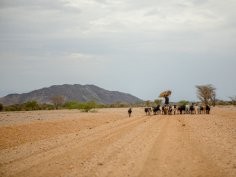 USAID in Africa, Flickr