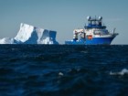 Alex Ingle / Schmidt Ocean Institute