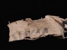 Emil Aladjem, Israel Antiquities Authority