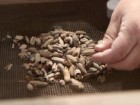 Emil Aladjem, Israel Antiquities Authority
