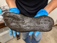 The Vindolanda Trust