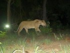Wildlife Conservation Society
