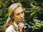 Hugo van Lawick, the Jane Goodall Institute