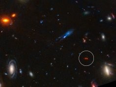 NASA, ESA, CSA, STScI, J. Diego (Instituto de Física de Cantabria, Spain), J. D’Silva (U. Western Australia), A. Koekemoer (STScI), J. Summers & R. Windhorst (ASU), and H. Yan (U. Missouri)