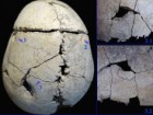 N Karastoyanova, et al. Journal of Archaeological Science: Reports, Volume 69, 2026, 105526