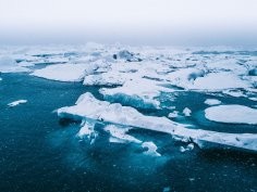 Willian Justen de Vasconcellos, Unsplash