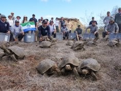 David Liberio, Galapagos Conservancy