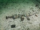 Fundacja Octopus