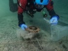 Fundacja Octopus