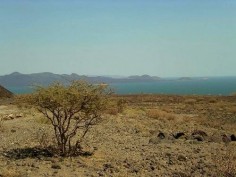 Jezioro Turkana, Kenia