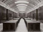 Natural History Museum, London