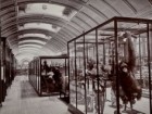 Natural History Museum, London