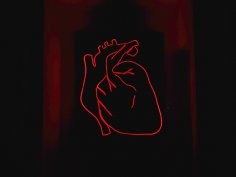 Alexandru Acea, Unsplash