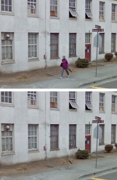 Pedestrian Remover